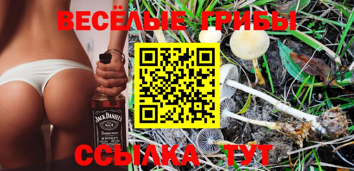 Галлюциногенные грибы GOLDEN TEACHER Шадринск