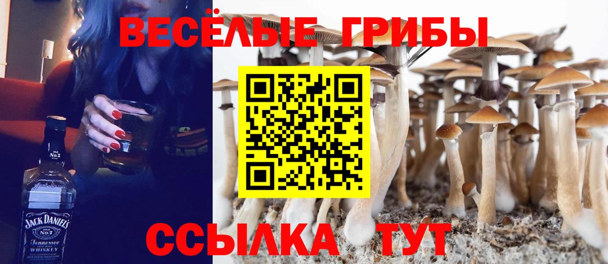 Псилоцибиновые грибы мухоморы  купить  цена  Шадринск  Вход с VPN 